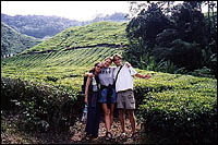 Jeannie, myself, and Carl in the tea plantations :: Cameron Highlands.