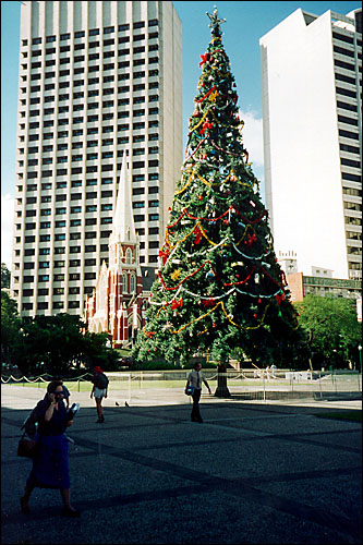 Christmas in summer -- Brisbane, Australia