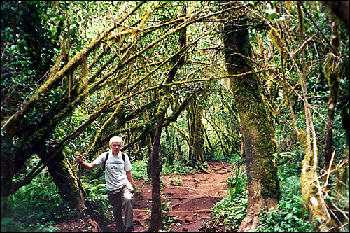 Kilimanjaro or Bust -- Mt. Kilimanjaro, Tanzania