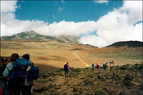 The "Saddle" -- Mt. Kilimanjaro, Tanzania