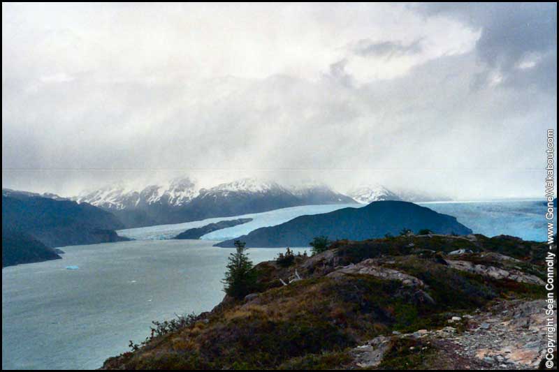 Grey Glacier -- Torres del Paine, Chile