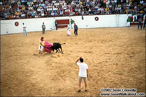 Bullfight -- Sahagun, Spain