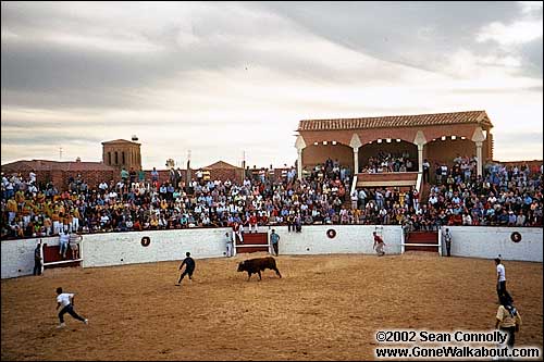 Bullfight -- Sahagun, Spain