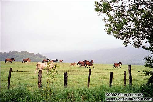 Along the road to Pamplona -- Spain