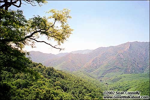 Parc Naturel Régional du Haut-Languedoc -- Haute Languedoc, France