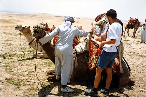 Brazilian guys haggling for camel ride -- Giza, Egypt