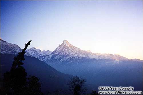 View of Machhapuchhre from Tadopani -- Tadopani, Nepal