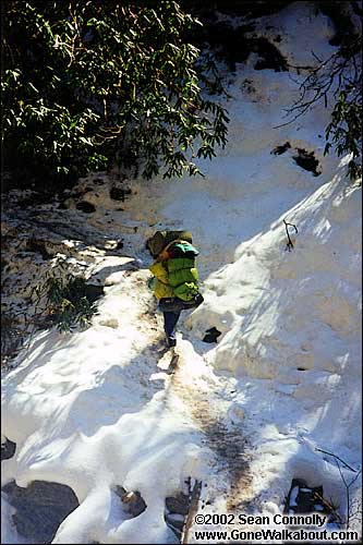 Trail between Tadopani and Ghorepani - Beginning of the nightmare ice valley -- Nepal