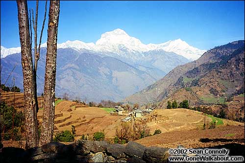 Descending from Ghorepani to Tatopani -- Nepal