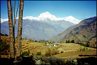 Descending from Ghorepani to Tatopani :: Nepal